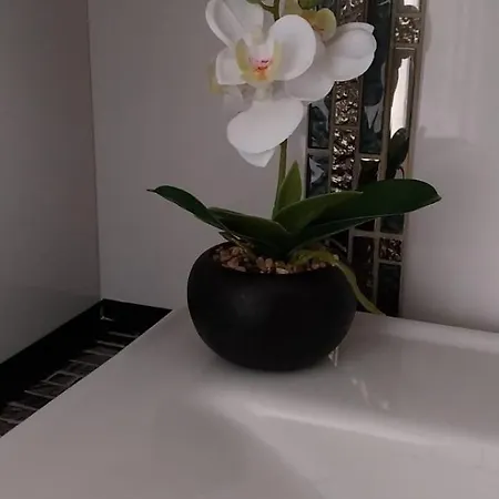 La Casa De Grace Apartment *